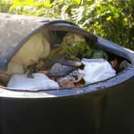 Composting diapers on BabyBirdsFarm.com