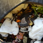 Composting diapers on BabyBirdsFarm.com