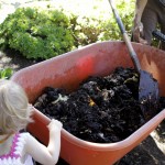 Composting diapers on BabyBirdsFarm.com