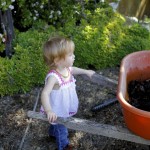 Composting diapers on BabyBirdsFarm.com