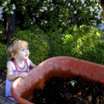 Composting diapers on BabyBirdsFarm.com