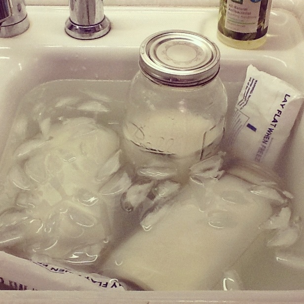 Home Dairy 101 How to Pasteurize Fresh Milk at Home Baby Bird's Farm