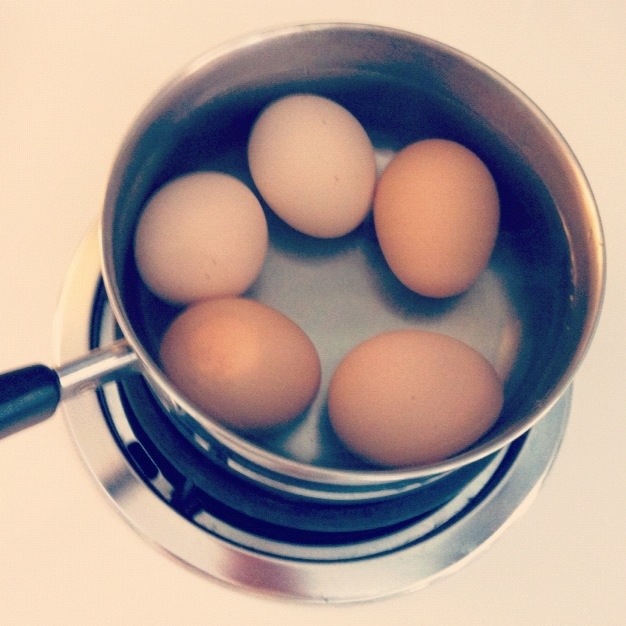 How To Boil The Perfect Fresh Egg Baby Birds Farm And Cocina