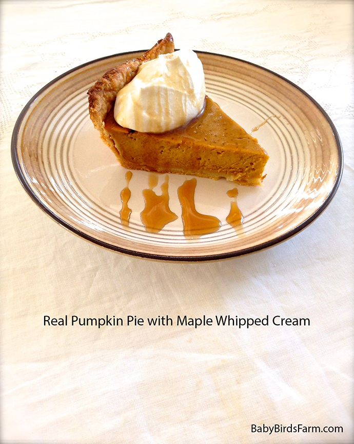 Real Pumpkin Pie with Maple Whipped Cream - Baby Bird's Farm and Cocina